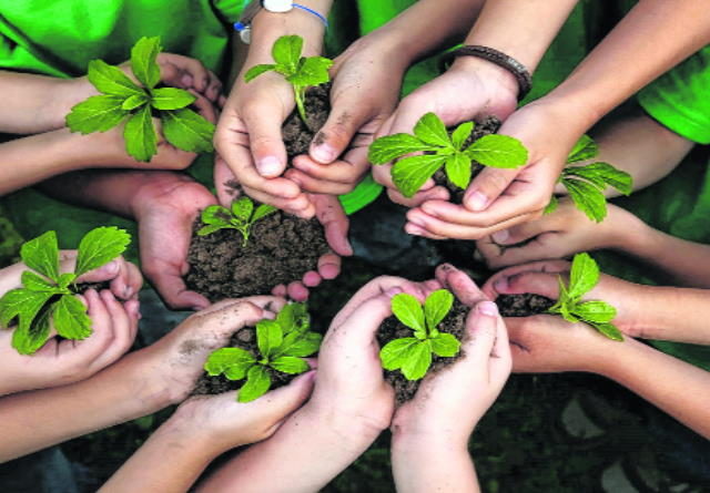 2 – Acabar com a fome, alcançar a segurança alimentar e melhoria da nutrição e promover a agricultura sustentável.